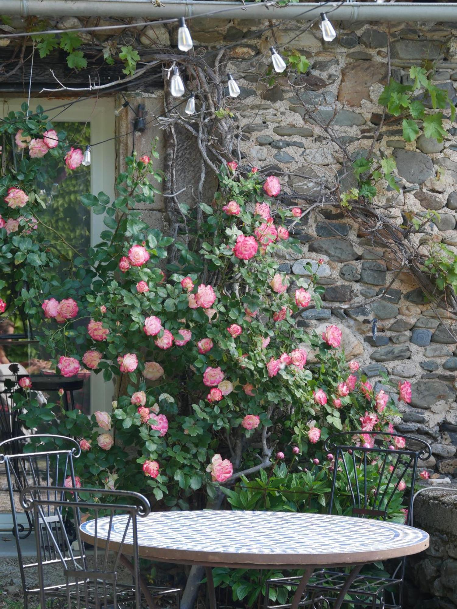 Les Jardins De Lumiere Bed & Breakfast Brusque Bagian luar foto